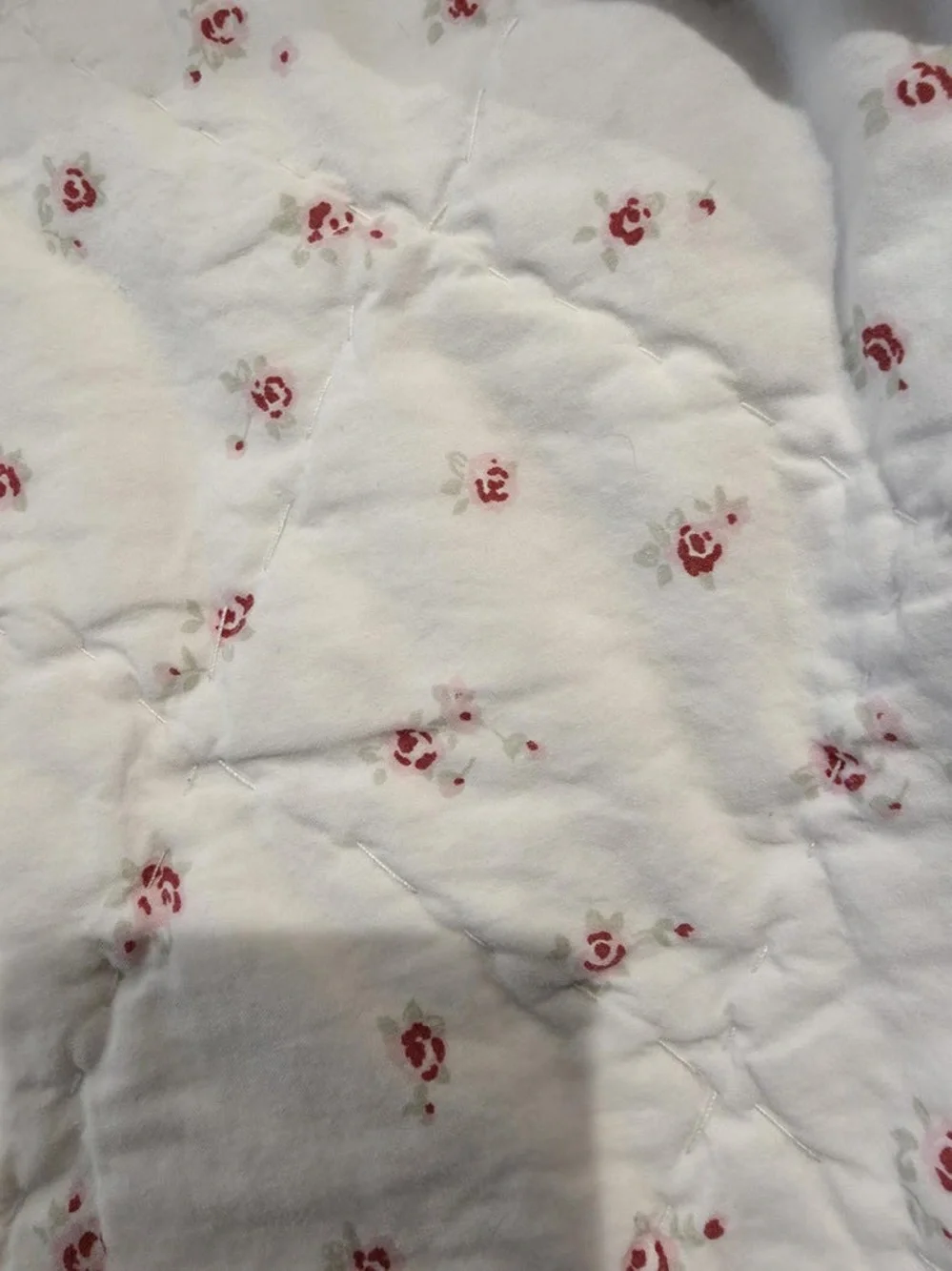 Rachel Ashwell Paisley Cotton Quilted Shabby Chic Ruffle 2/ Shams